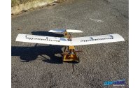 Aerobel Flugzeug Demoiselle 1180 mm, Bausatz