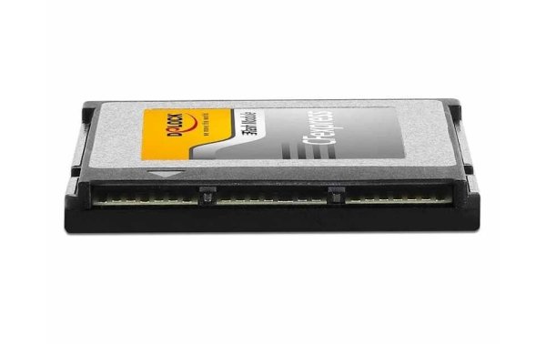 Delock CFexpress-Karte 54066 256 GB