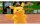Nintendo Meisterdetektiv Pikachu kehrt zurück