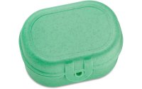 Koziol Lunchbox Pascal Mini Grün