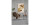 Villa Collection Schaffell 120 x 80 cm Echtfell, Braun