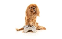 Fuzzyard Hunde-Spielzeug PawStation Controller, 17 x 22 x 6 cm