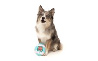 Fuzzyard Hunde-Spielzeug Tamadogchi, 15 x 13 x 7 cm