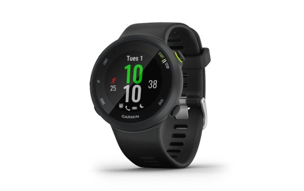 GARMIN GPS-Sportuhr Forerunner 45 Schwarz