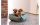Fuzzyard Hunde-Bett Life Baumwolle, 65 x 53 x 20 cm, Grün