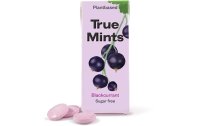 True Gum Bonbons True Mints schwarze Johannisbeere 13 g