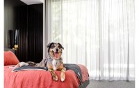Fuzzyard Hunde-Decke Life, 45 x 60 cm, Grau