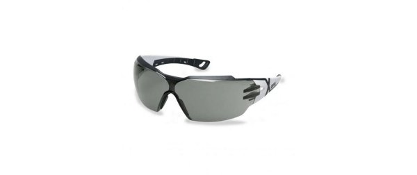 uvex Schutzbrille Pheos cx2, Grau