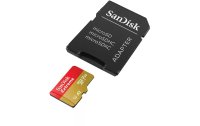 SanDisk microSDXC-Karte Extreme 256 GB