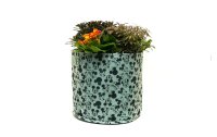 Jardinopia Pflanzsack Eco Pots Micky, Grün, 23 l