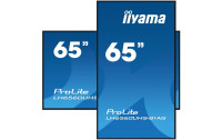 iiyama Monitor ProLite LH6560UHS-B1AG
