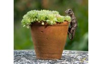 Jardinopia Blumentopf Aufhänger Pot Buddies T-Rex