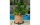 Jardinopia Pflanzentopffüsse Potty Feet Schwein, 3er Set