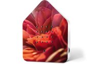 Zwitscherbox Style Blossom VIP Violet