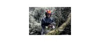 uvex Schutzhelm Pheos Forestry, Rot