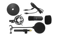 Delock Kondensatormikrofon USB für Gaming & Podcasting
