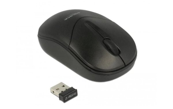 Delock Mobile Maus 12494 USB kabellos