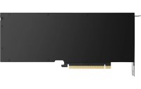 PNY Grafikkarte NVIDIA RTX 5000 Ada Generation 32 GB