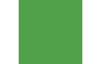 Amsterdam Acrylfarbe Standard 605 Brillantgrün halbdeckend, 120 ml