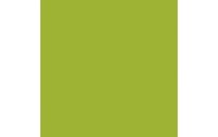 Amsterdam Acrylfarbe Standard 617 Gelbgrün halbdeckend, 120 ml