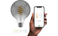 hombli Leuchtmittel Smart Filament Bulb, E27, 5.5 W, Smokey, Globe