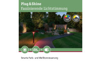 Paulmann Outdoor Sockelleuchte Plug & Shine Plate, RGBW,  Anthrazit