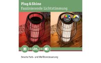 Paulmann Stehleuchte Plug & Shine Basket, RGBW, 3.2W, Schwarz