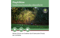 Paulmann Outdoor Gartenspot Plug & Shine Kikolo, TW, ZB, Anthrazit