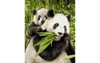 Schipper Malen nach Zahlen Pandabären