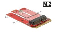 Delock Mini-PCI-Express-Karte Mini-PCIe - M.2 Key-E USB2.0
