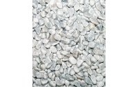 Ambiance Dekosteine Bianco Carrara 0.8-1.3 cm, Weiss