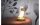 Star Trading Nachtlicht LED Functional Tukan, Warmweiss, 2.4 W