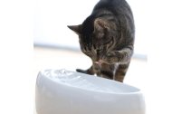 Lucky-Kitty Wasserautomat Keramik, Weiss Weiss