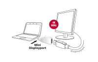 Delock Adapter Mini-Displayport – Displayport...
