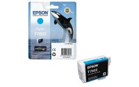 Epson Tinte C13T76024010 Cyan