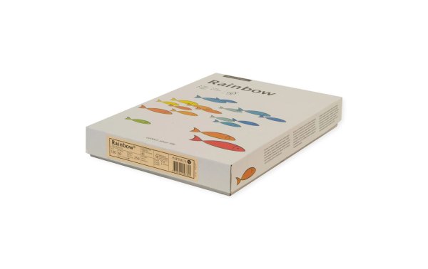 Rainbow Kopierpapier A3, Mittelblau, 120 g/m², 250 Blatt