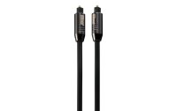 HDGear Audio-Kabel TC040-100 Toslink - Toslink 10 m