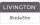 Livington Everclean Messerschärfer Blade Star 18.5 x 4.7 x 7.4 cm