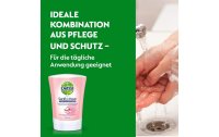 Dettol Handseife No-Touch Nachfüller Sheabutter & Rosenblüte 250 ml