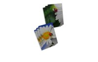 ABC Motivkarte Blumen A6, 6 Stück