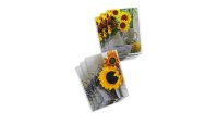 ABC Motivkarte Sonnenblumen A6, 6 Stück