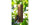 LUXUS-VOGELHAUS Futterspender für Wildvögel, 5 x 5 x 23 cm, Holz