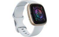 Fitbit Sense 2 Smartwatch Hellblau/Gold