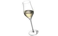 Leonardo Champagnerglas Brunelli 340 ml, 2 Stück, Transparent