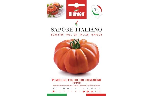 Blumen Samen Tomate Costoluto Fiorentino