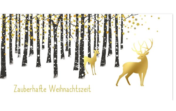 Braun + Company Geldgeschenk-Karte Zauberhafte Weihnachtszeit 21 x 10.5 cm