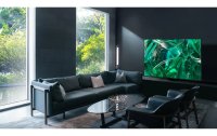 Samsung TV QE55S95C ATXZU 55", 3840 x 2160 (Ultra HD 4K), OLED