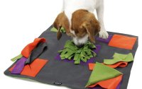 KNAUDERS BEST Hunde-Spielzeug Happypad 60 x 60 cm