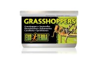 Exo Terra Dosenfutter Grasshoppers, 34 g