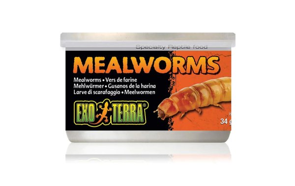Exo Terra Dosenfutter Mealworms, 34 g